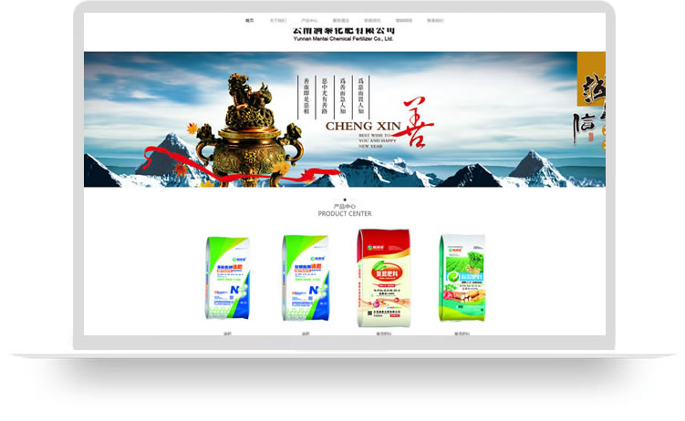 企業(yè)網(wǎng)站設(shè)計案例,手機網(wǎng)站設(shè)計案例